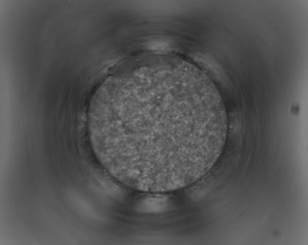 X0000092100369200710101127