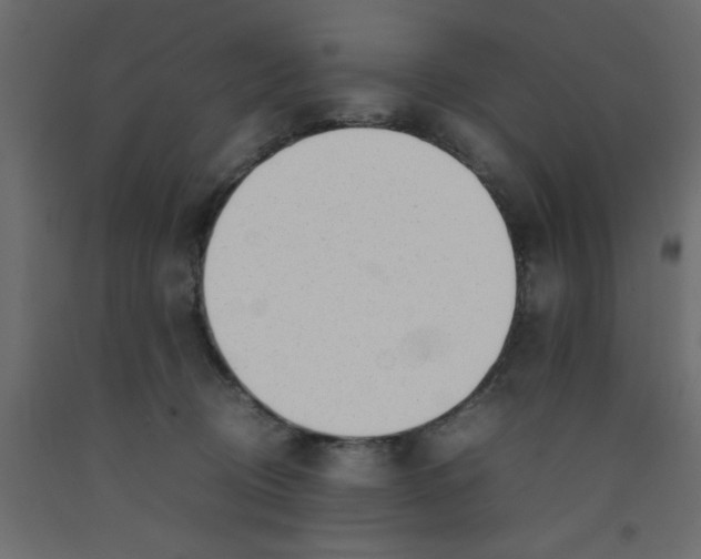 X0000092100370200710101127