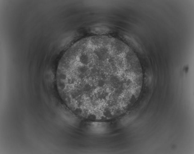 X0000092100371200710101127