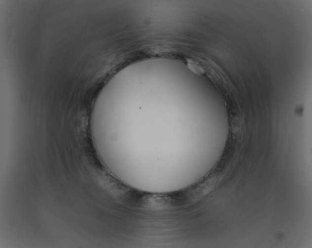 X0000092100372200710101127