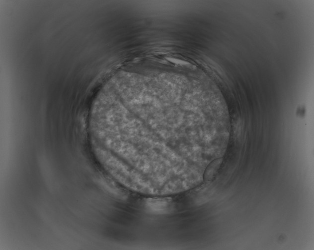 X0000092100373200710101127