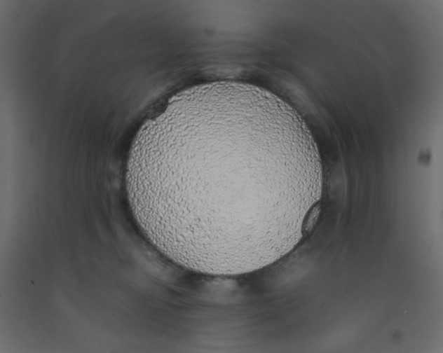 X0000092100374200710101127