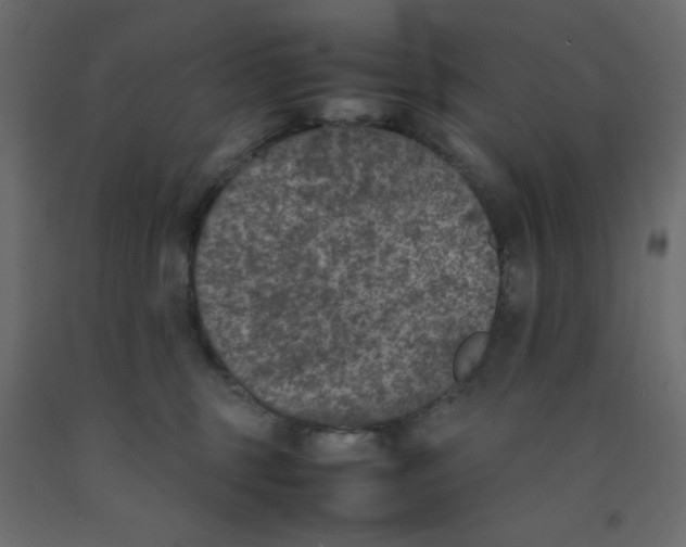 X0000092100375200710101127