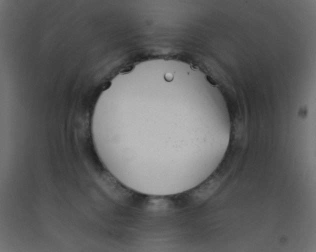 X0000092100376200710101127