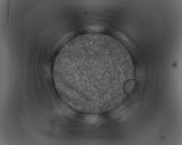 X0000092100377200710101127