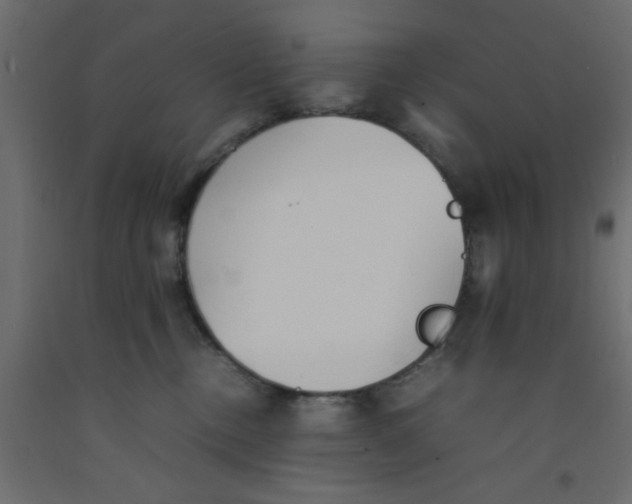 X0000092100378200710101127