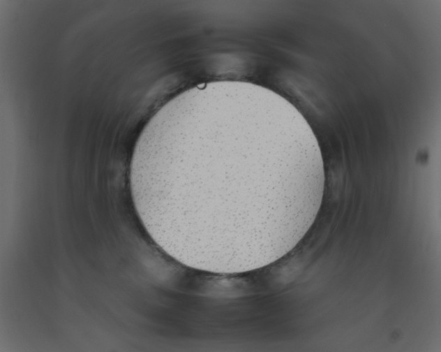 X0000092100379200710101127