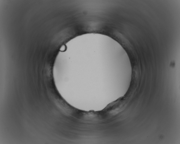 X0000092100380200710101127