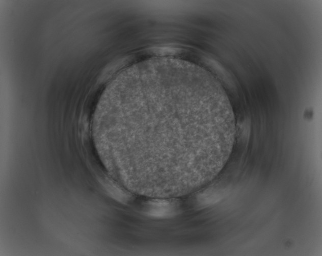 X0000092100381200710101127