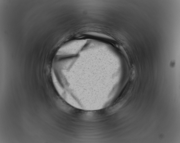 X0000092100382200710101127