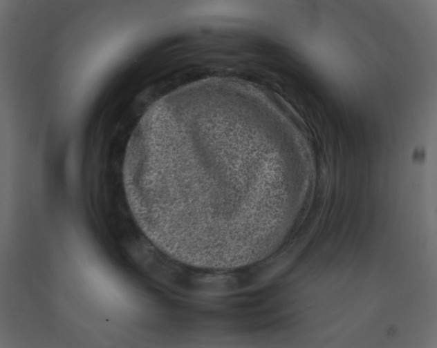 X0000092100383200710101127