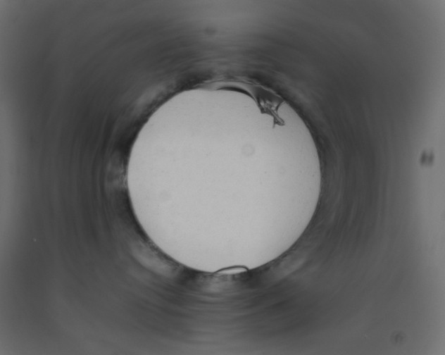 X0000092100384200710101127