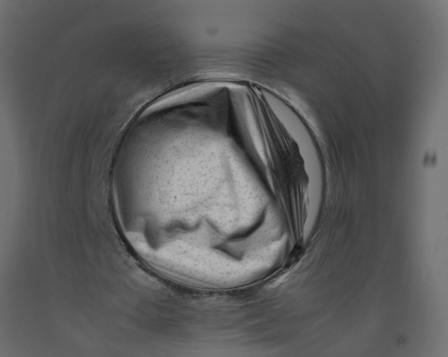 X0000092100385200710101126