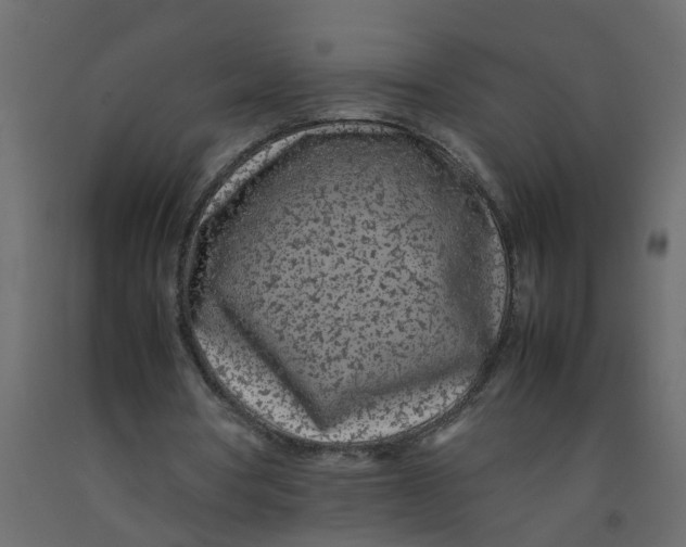 X0000092100386200710101126