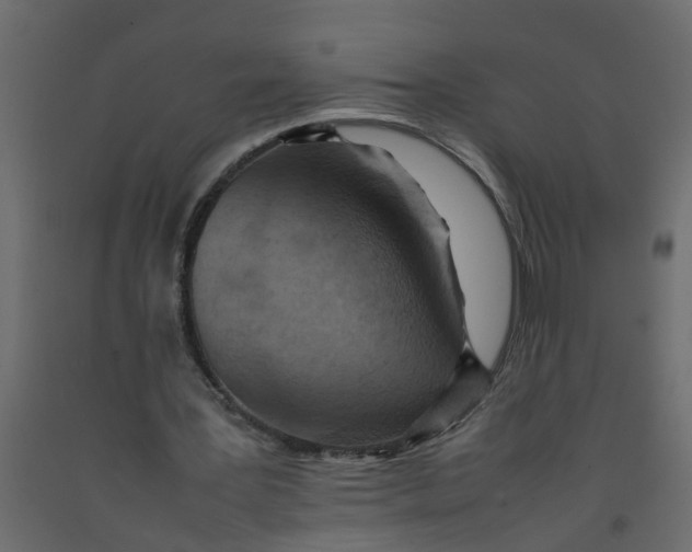 X0000092100387200710101126