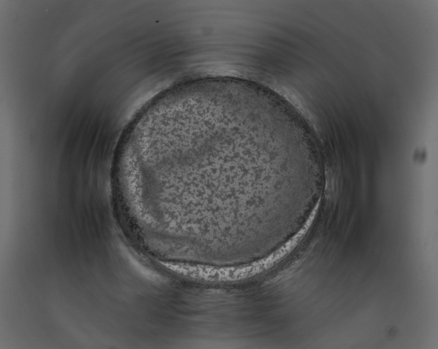 X0000092100390200710101126