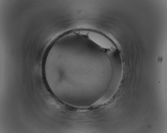 X0000092100391200710101126