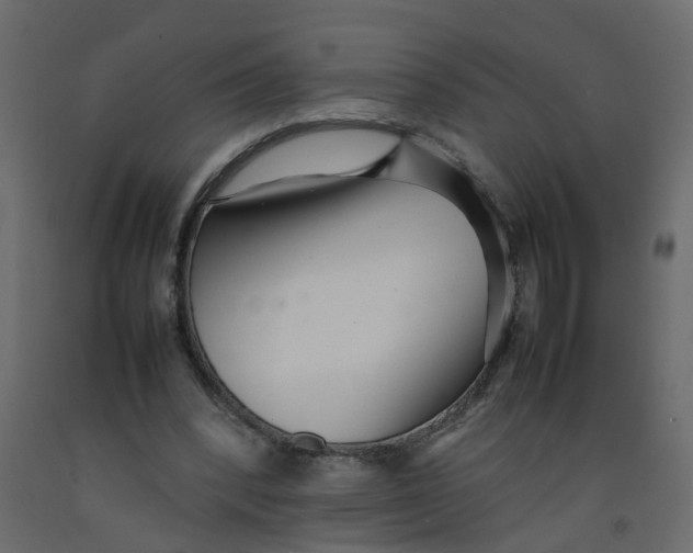 X0000092100392200710101126