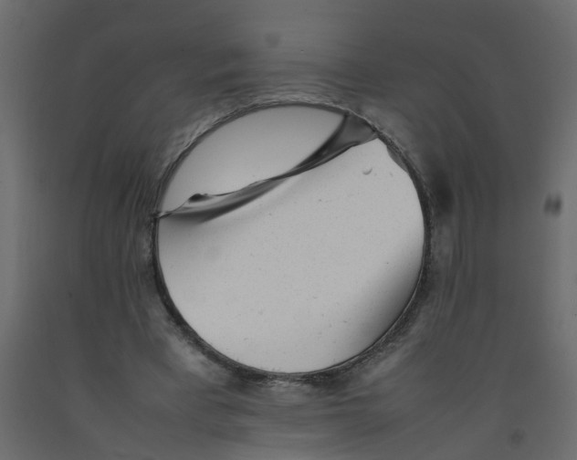 X0000092100393200710101126