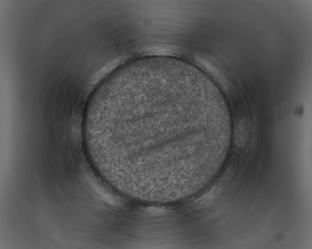 X0000092100394200710101126