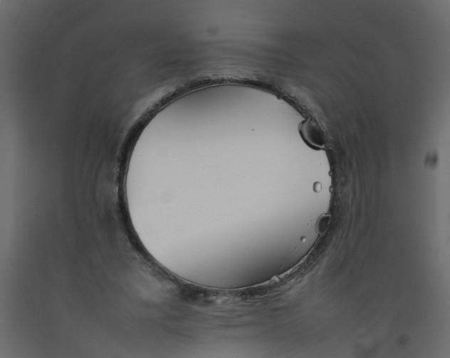 X0000092100395200710101126