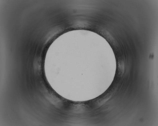 X0000092100396200710101126