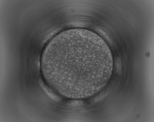 X0000092100398200710101126