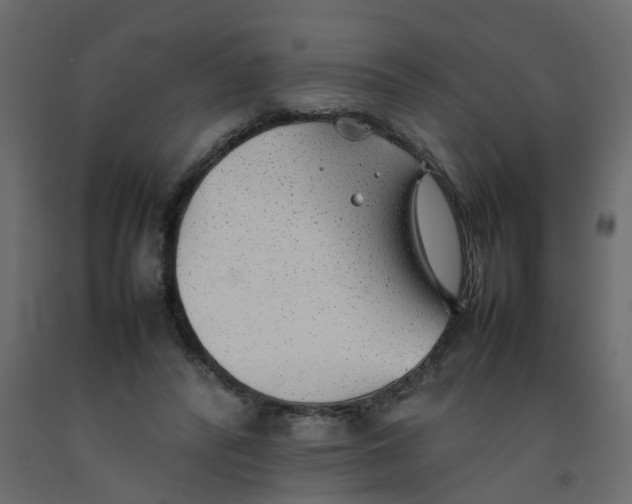 X0000092100400200710101126