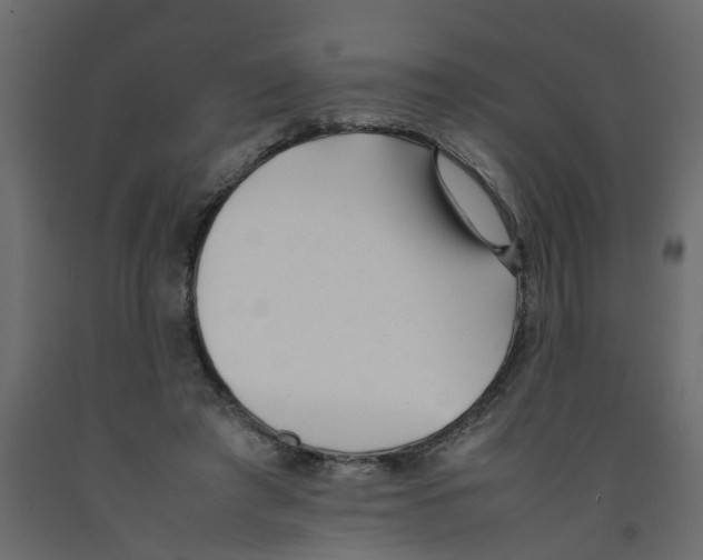 X0000092100401200710101126