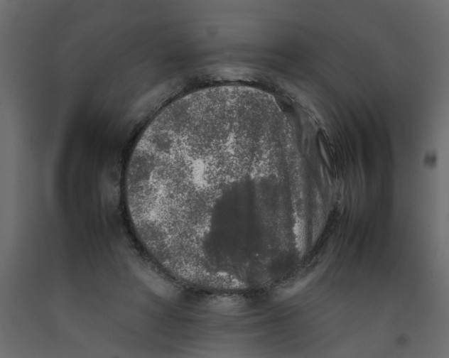 X0000092100402200710101126