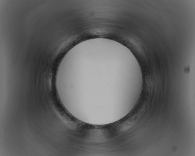 X0000092100404200710101126