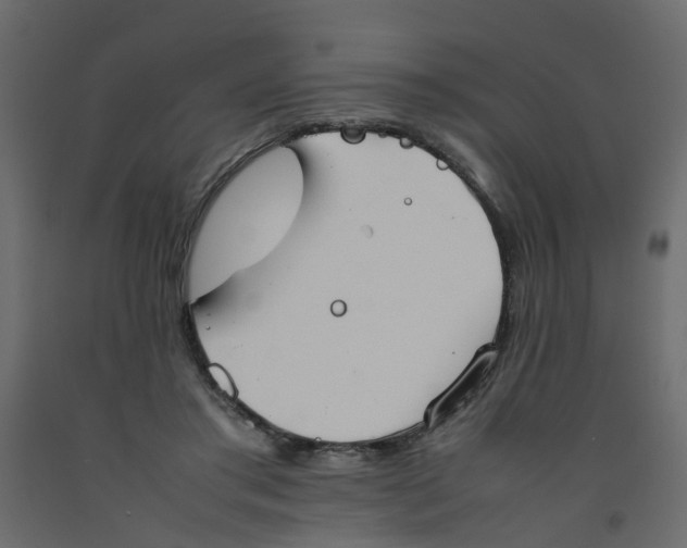 X0000092100405200710101126