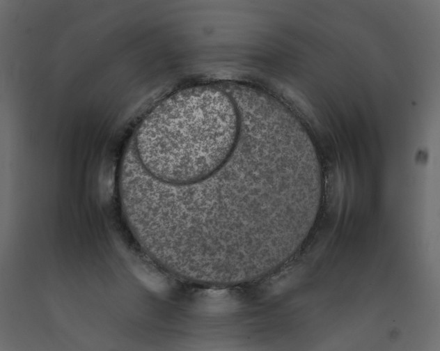 X0000092100406200710101126