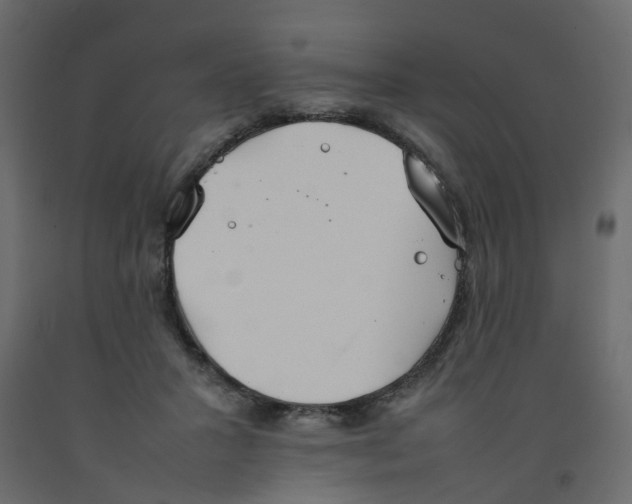 X0000092100407200710101126