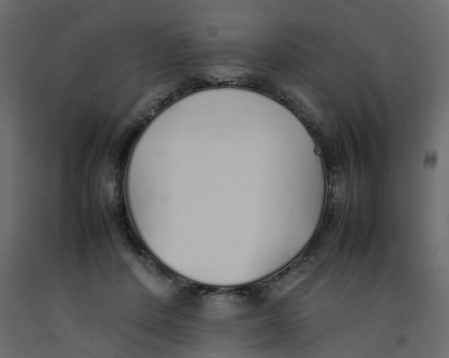 X0000092100408200710101126