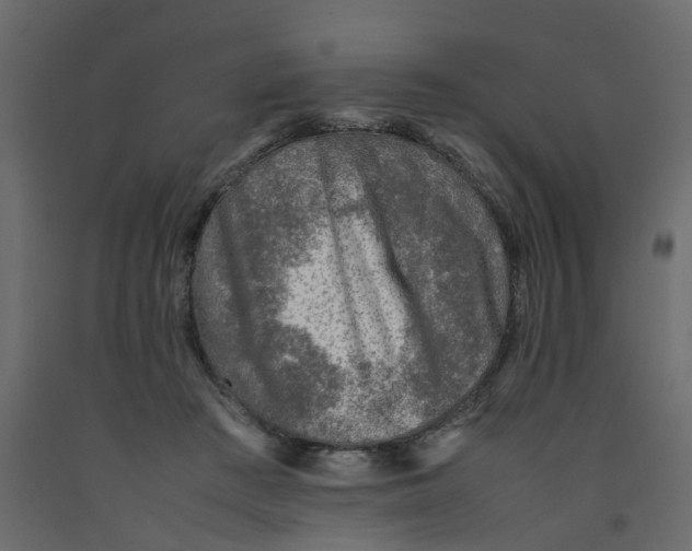 X0000092100409200710101126