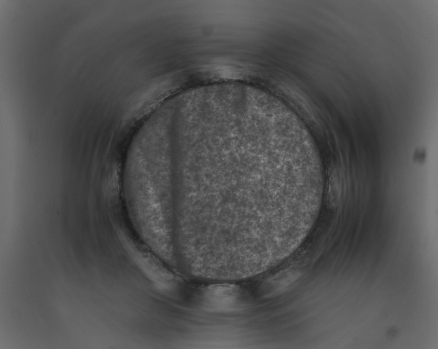 X0000092100410200710101126