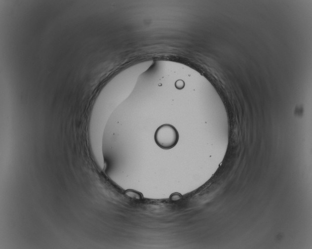 X0000092100411200710101126