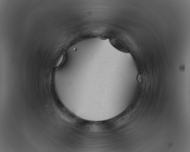 X0000092100412200710101126