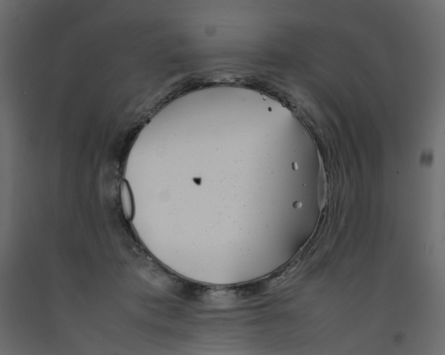 X0000092100413200710101126