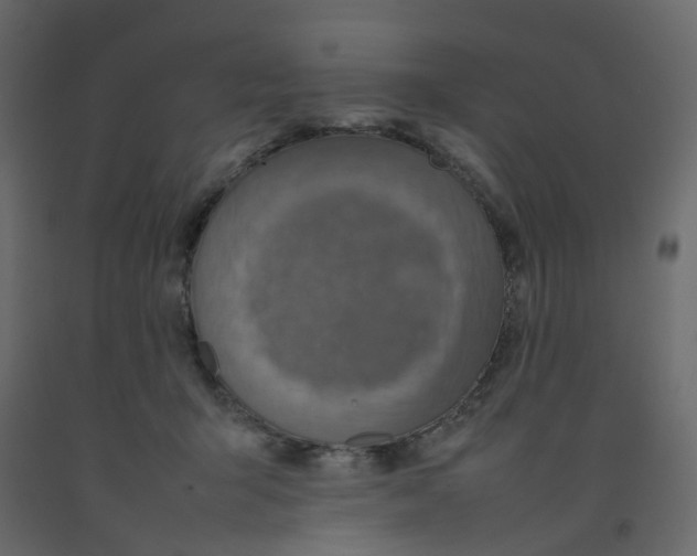 X0000092100415200710101126