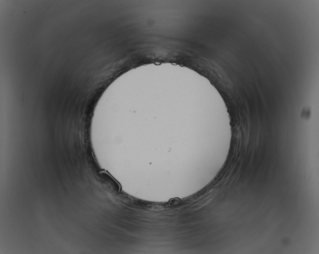 X0000092100416200710101126