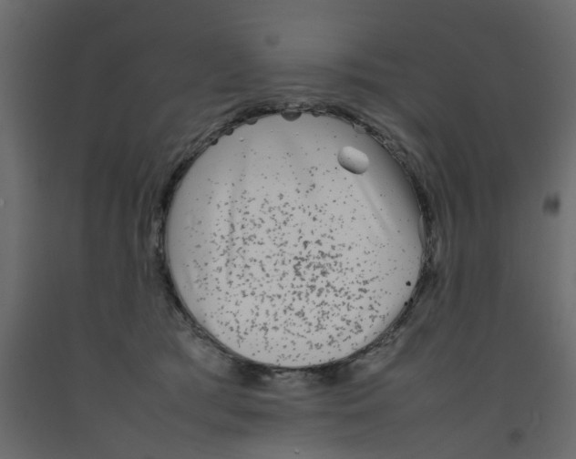 X0000092100417200710101126