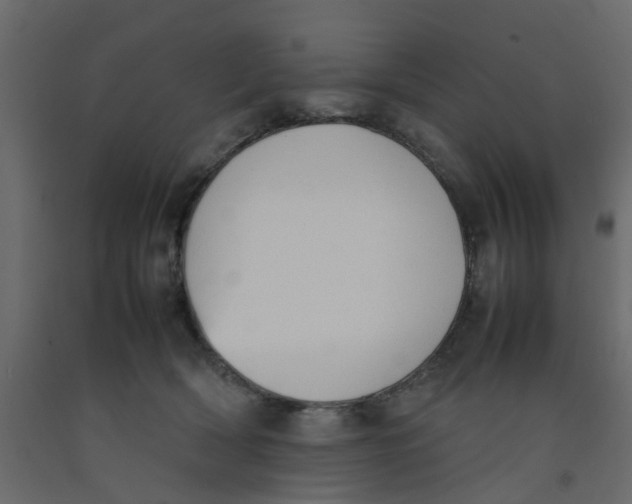 X0000092100418200710101126