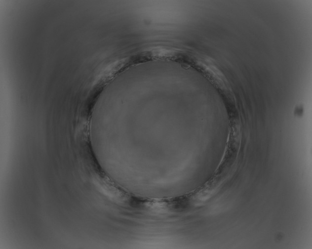 X0000092100419200710101126