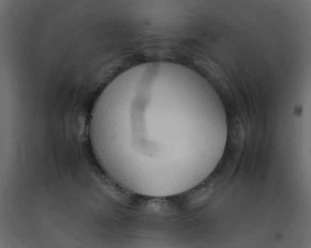 X0000092100420200710101126