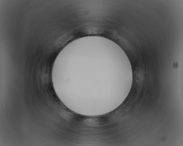 X0000092100422200710101126