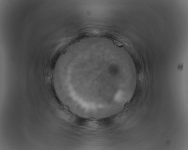 X0000092100423200710101126