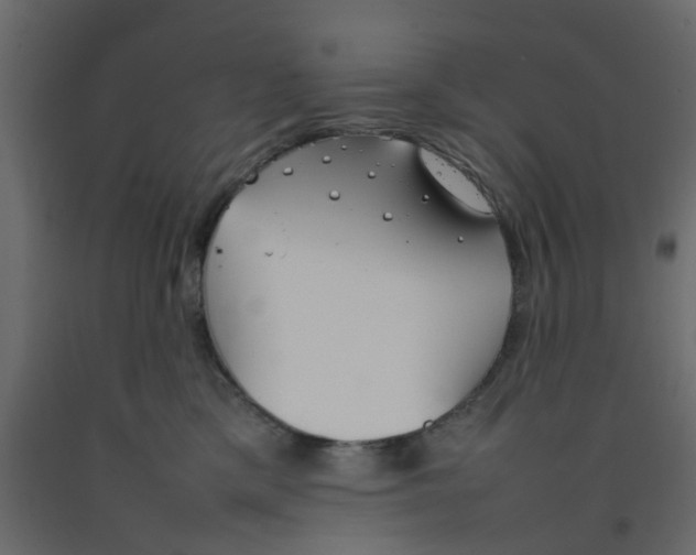 X0000092100425200710101126