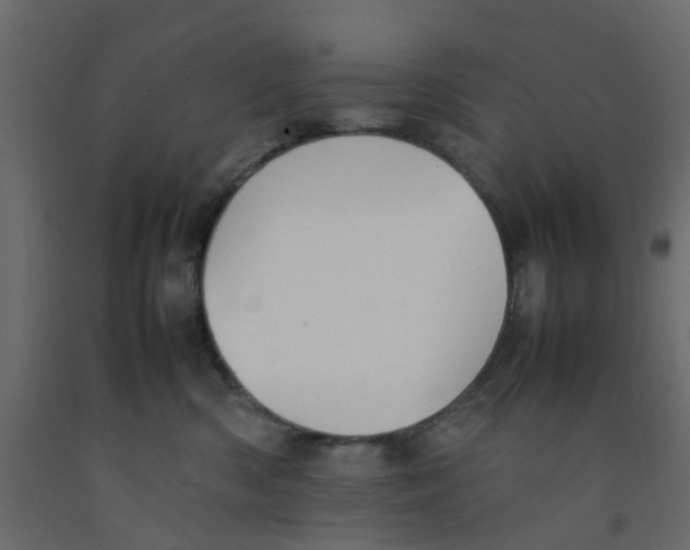 X0000092100426200710101126